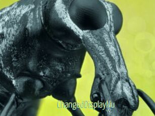 ChangedDisplayNu