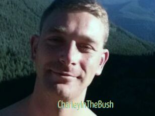 CharleyInTheBush