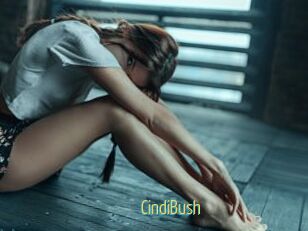 CindiBush