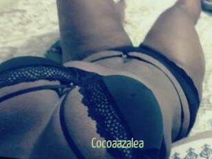 Cocoaazalea