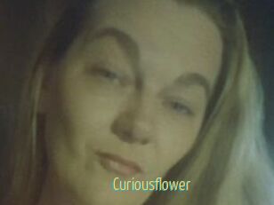 Curiousflower