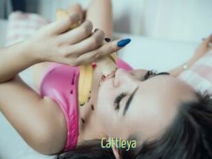 _Cattleya