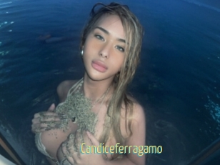 Candiceferragamo