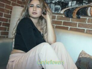 Candieflowers