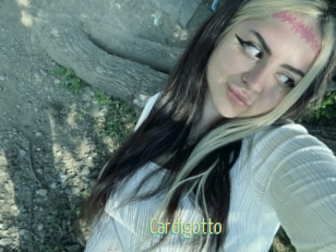 Cardigotto