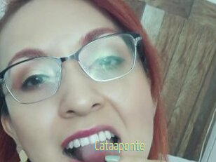 Cataaponte