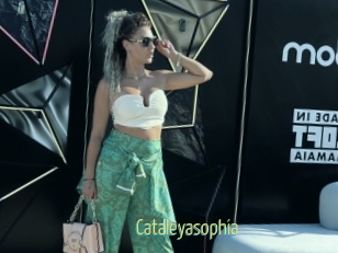 Cataleyasophia