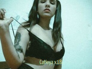 Catleya_x18