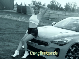 Changfleekpanda