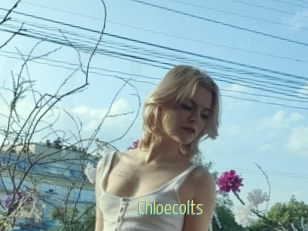 Chloecolts