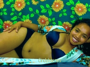 Cindybarnes