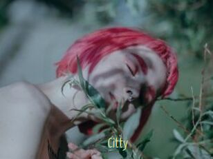 Citty