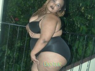 Cleo_bule