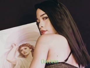 Cloeclean