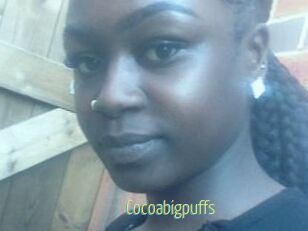 Cocoabigpuffs