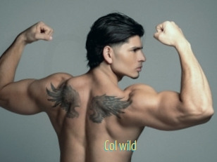 col_wild Chaturbate Cam Sexe