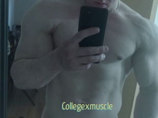 Collegexmuscle