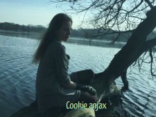 Cookie_anjax