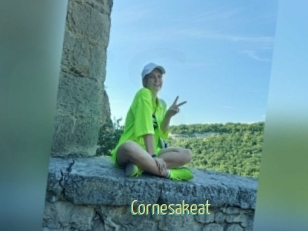 Cornesakeat