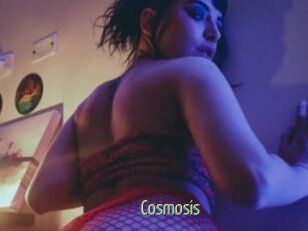Cosmosis