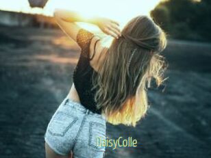 DaisyColle