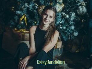 DaisyDandelion