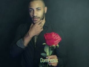 DamFenix