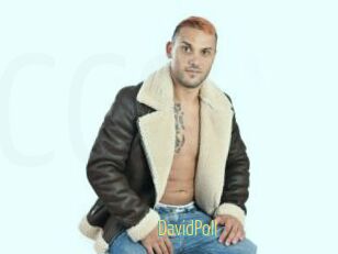 DavidPoll