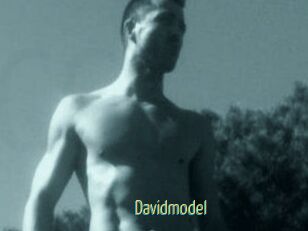 Davidmodel