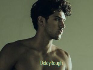 DiddyRough