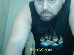 DigBickRoscoe