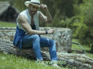 DomiinicSantos