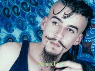 DominicTerrier
