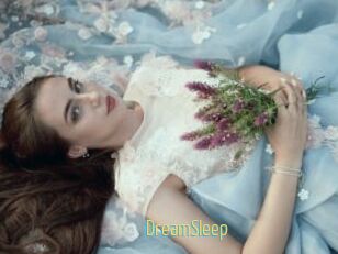DreamSleep
