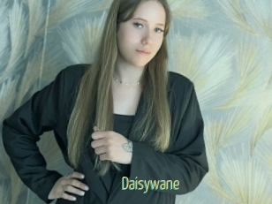 Daisywane