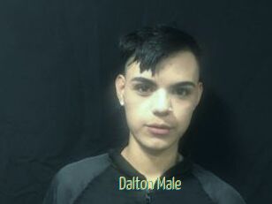 Dalton_Male