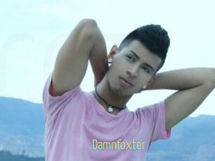 Damnfoxter