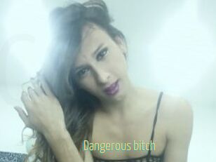 Dangerous_bitch