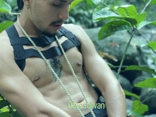 Davesulivan