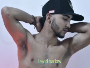 David_harlow