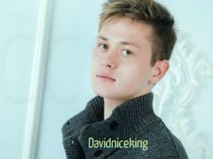 Davidniceking