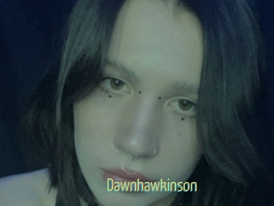 Dawnhawkinson