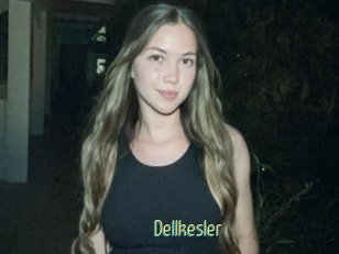 Dellkesler