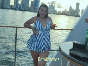 Demibarnes