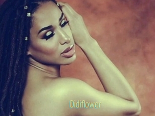 Didiflower