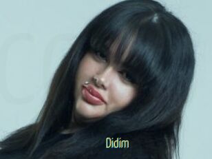 Didim