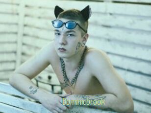 Dominicbrook