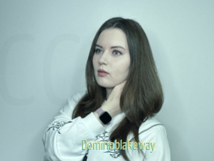 Dominoblakeway