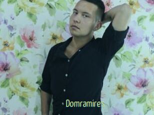 Domramires