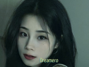 Dreamero